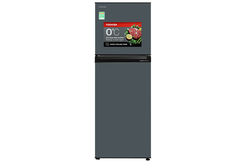 Tủ Lạnh Toshiba 233L GR-RT303WE-PMV(52)